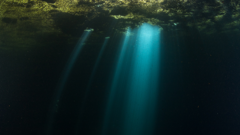 “Free-diving in sinkholes can be a bit creepy when you have to swim through a layer of plants that obscures your view at the surface, but once you dive down into the abyss, the view is always worth it.” - JA